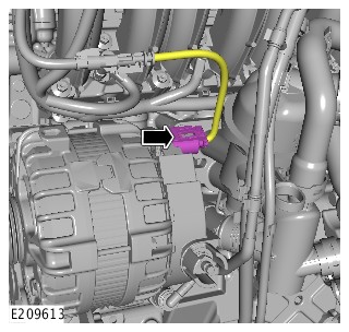 E209613
