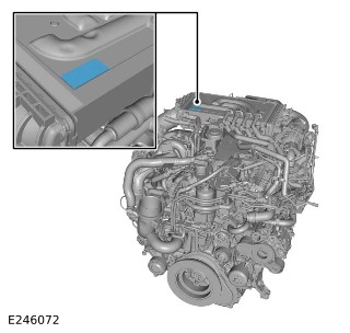E246072